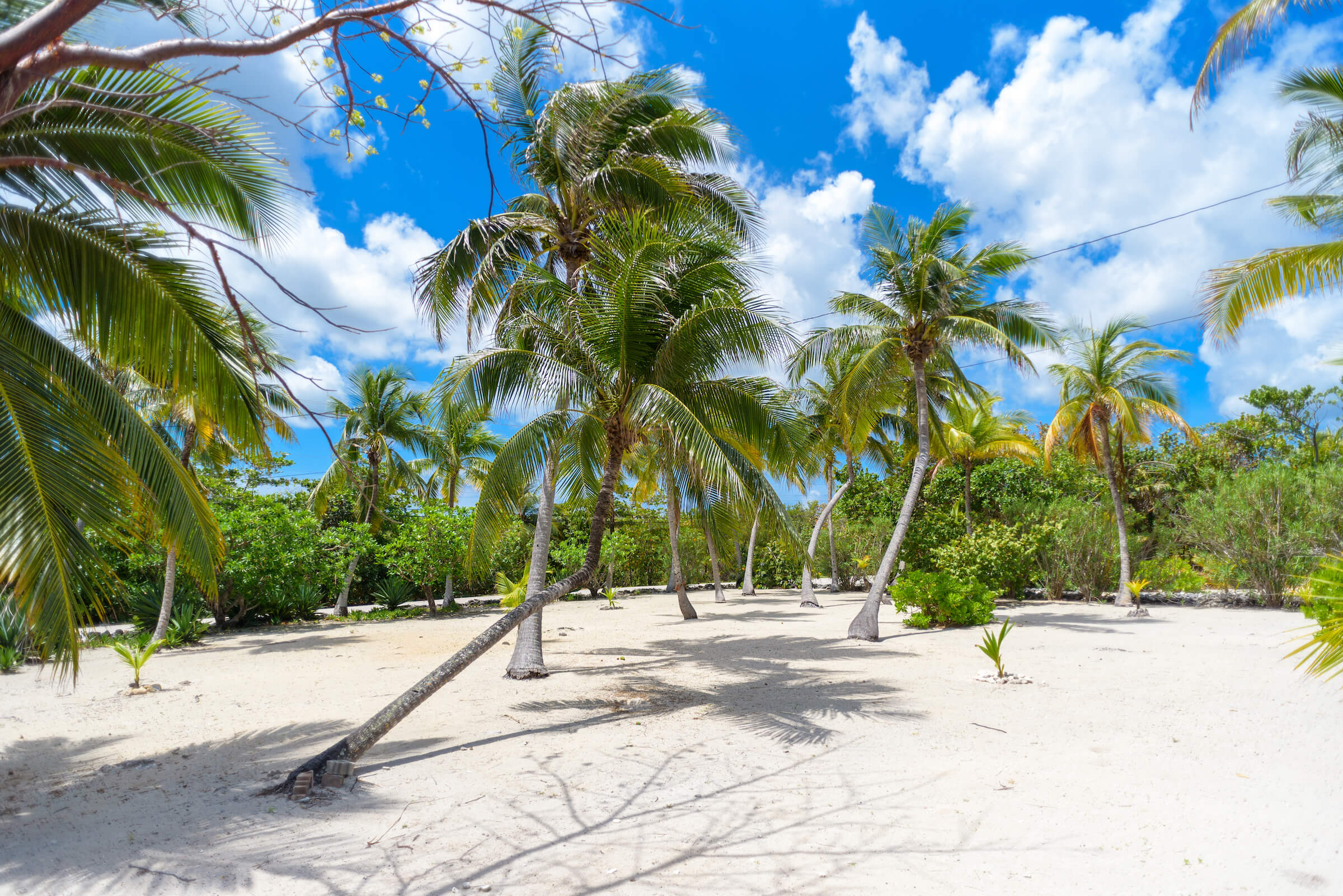 Breezy Bay Cayman front entrance grounds