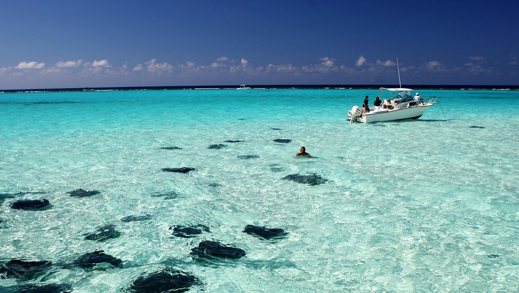 Stingray City